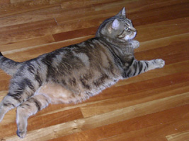 Cliquez pour agrandir l'image !